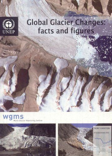 Global Glacier Changes