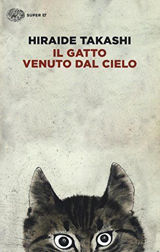 Il gatto venuto dal cielo