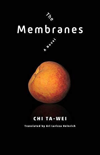 The Membranes - a Novel
