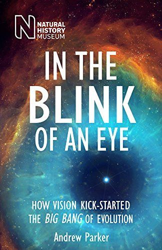 In the Blink of an Eye
