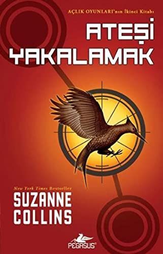 Ateşi yakalamak