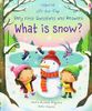 Lift-The-Flap Very First Questions and Answers: What Is Snow?