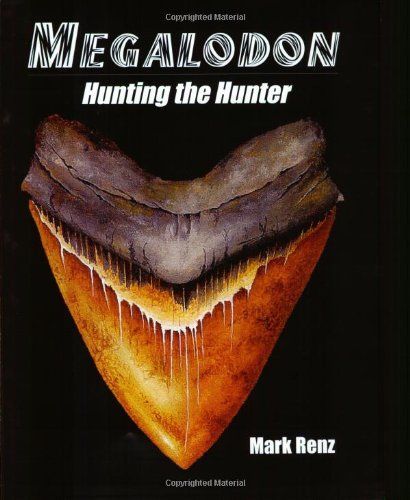 Megalodon