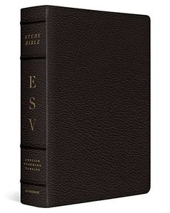 Exploring the Bible