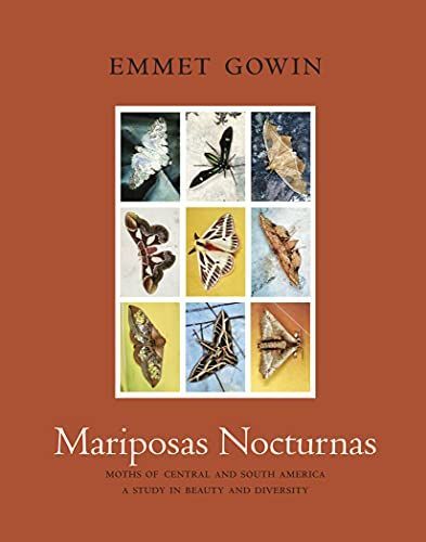 Mariposas Nocturnas