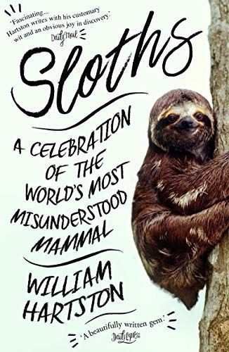 Sloths!