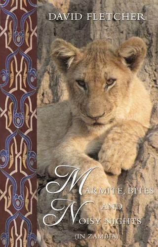 Marmite, Bites and Noisy Nights (in Zambia)