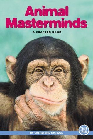 Animal Masterminds