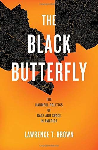The Black Butterfly