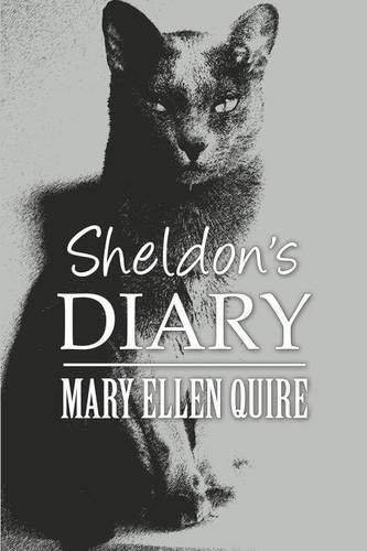 Sheldon's Diary
