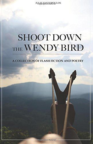 Shoot Down the Wendy Bird