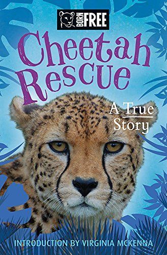 Cheetah Rescue