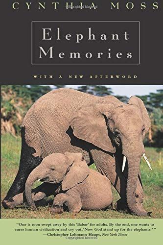 Elephant Memories