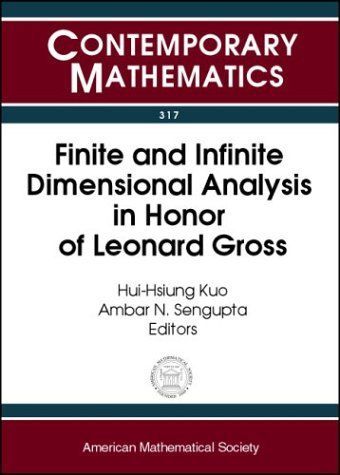 Finite and Infinite Dimensional Analysis in Honor of Leonard Gross