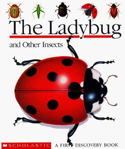 The Ladybug and Other Insects