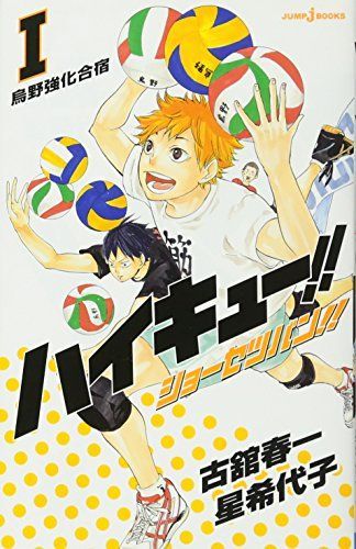 ハイキュー!!ショーセツバン!!