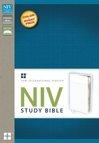 NIV Study Bible