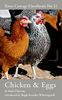 Chicken & Eggs