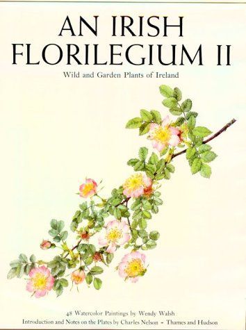 An Irish Florilegium