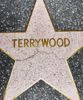 Terrywood