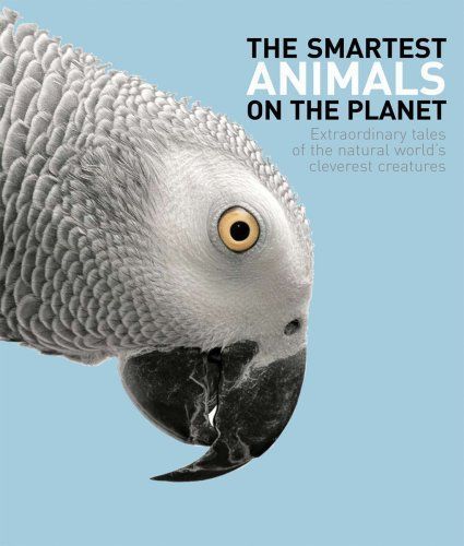 The Smartest Animals on the Planet