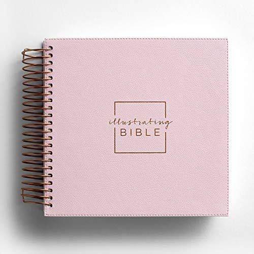 Illustrating Bible NIV Pink