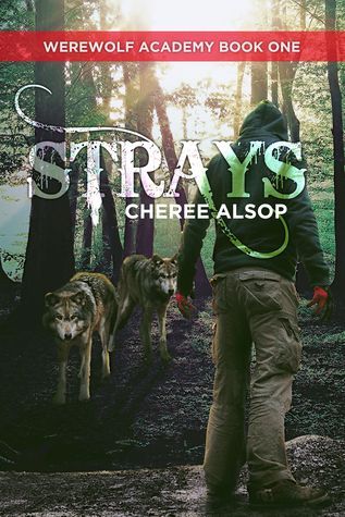 Strays