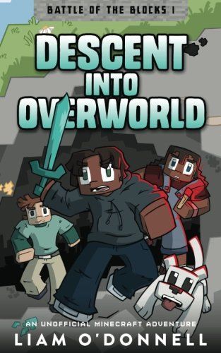 Descent Into Overworld