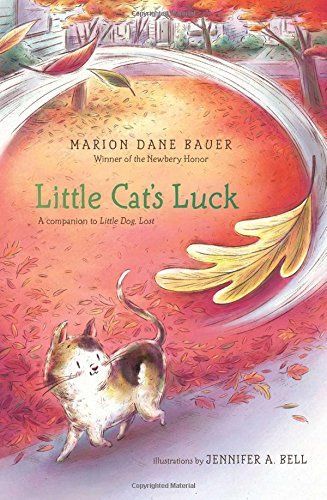 Little Cat's Luck