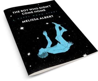 The Boy Who Didn't Come Home