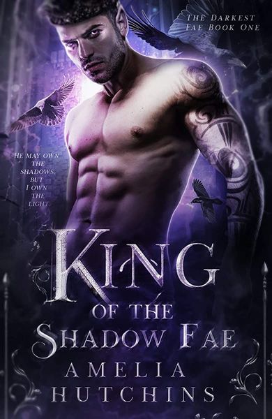 King of the Shadow Fae