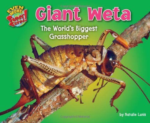 Giant Weta