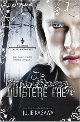 De duistere fae (The Iron Fey