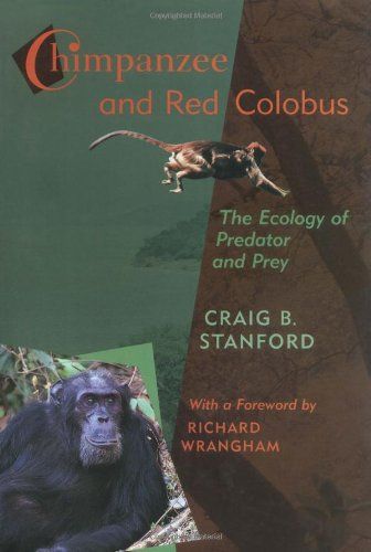 Chimpanzee and Red Colobus