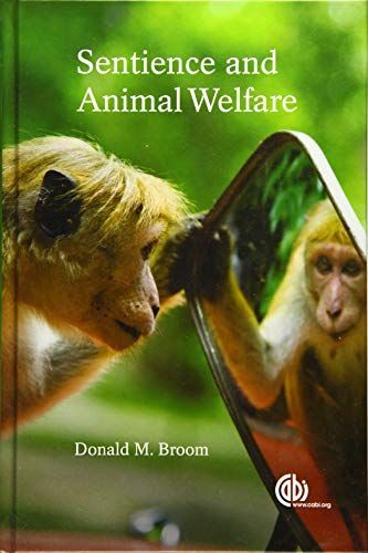 Sentience and Animal Welfare