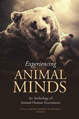 Experiencing Animal Minds