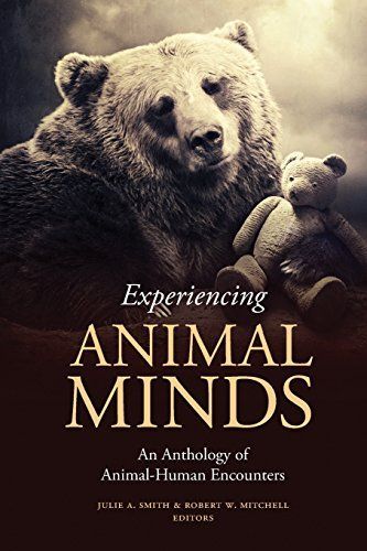 Experiencing Animal Minds