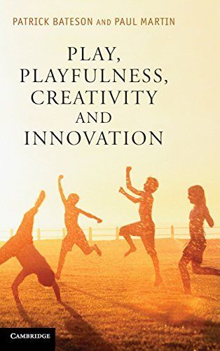 Play, Playfulness, Creativity and Innovation