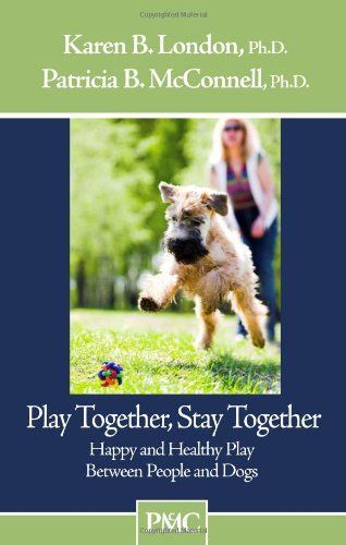 Play Together, Stay Together