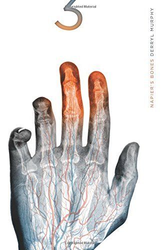 Napier's Bones
