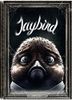 Jaybird