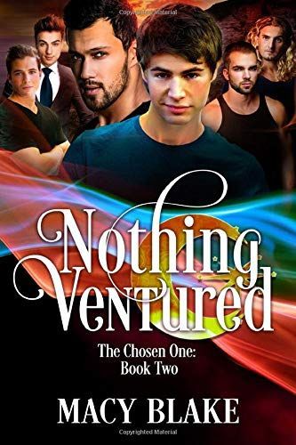 Nothing Ventured: the Chosen One Book Two