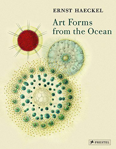 Art Forms from the Ocean