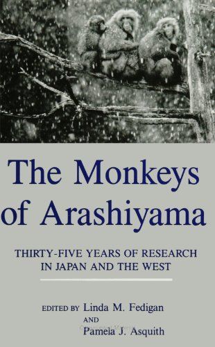 The Monkeys of Arashiyama