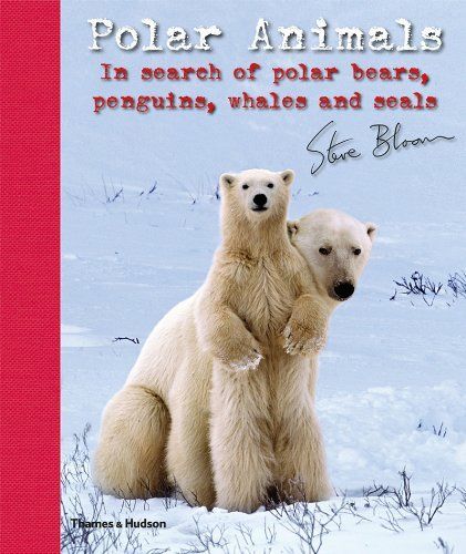 Polar Animals