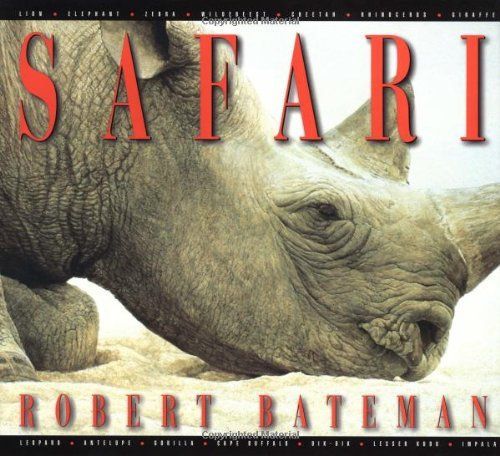 Safari