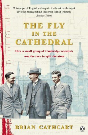 The Fly in the Cathedral