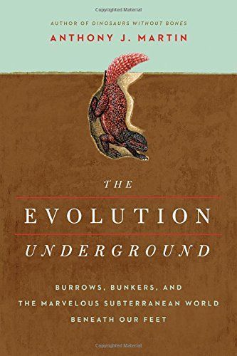 The Evolution Underground