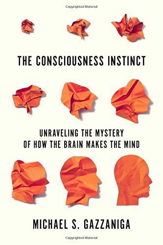 The Consciousness Instinct