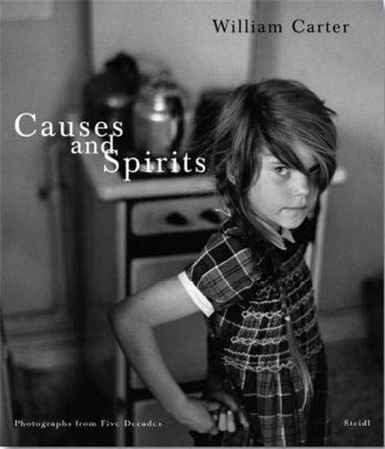 Causes and Spirits